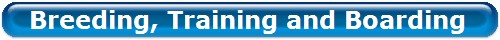 Breeding, Training and Boarding